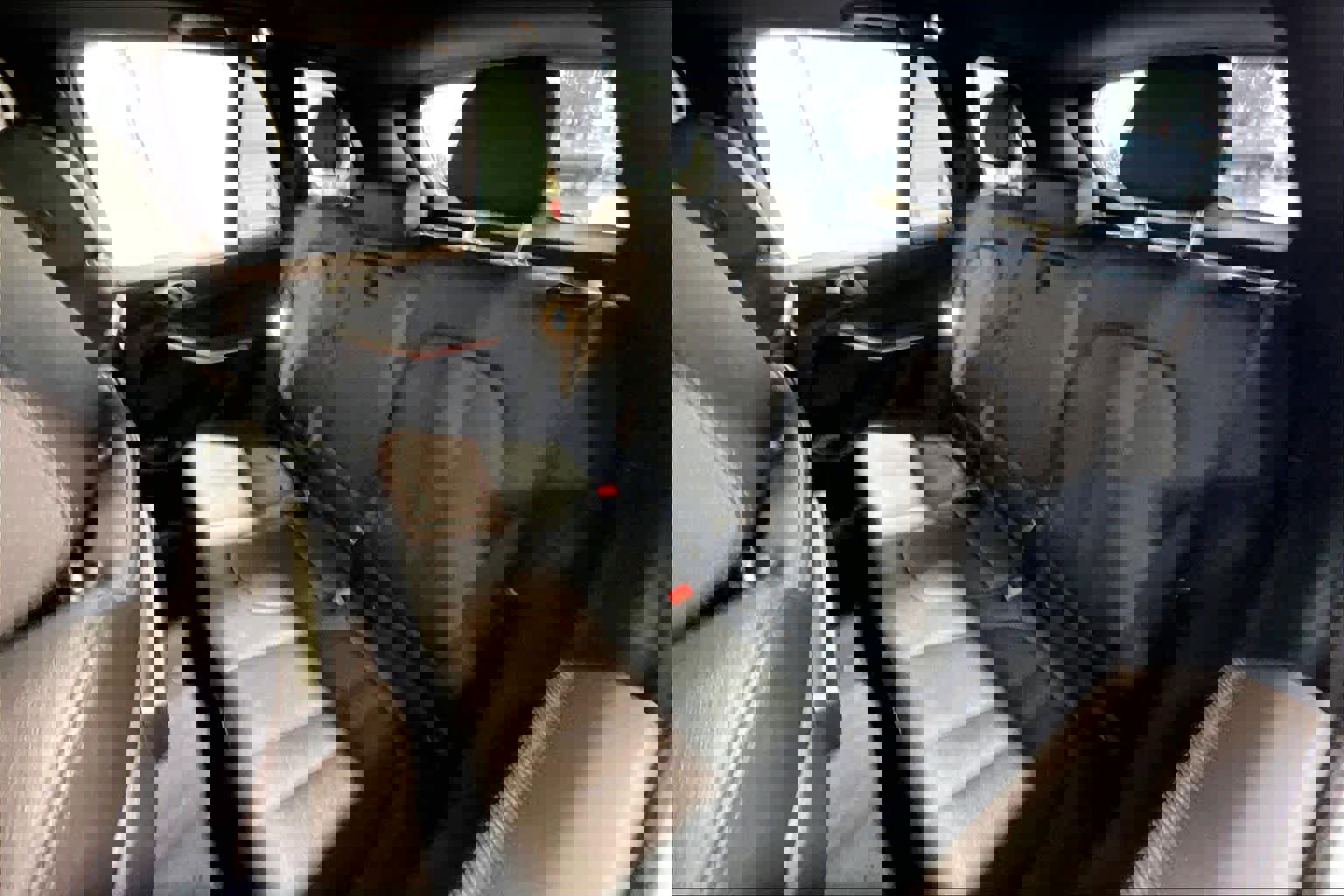 Used 2020 BMW X5 xDrive40i w/ Convenience Package image 28