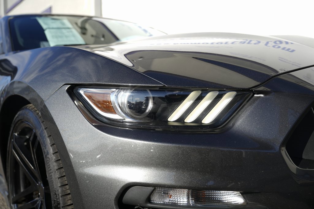 Used 2017 Ford Mustang Shelby GT350 image 21