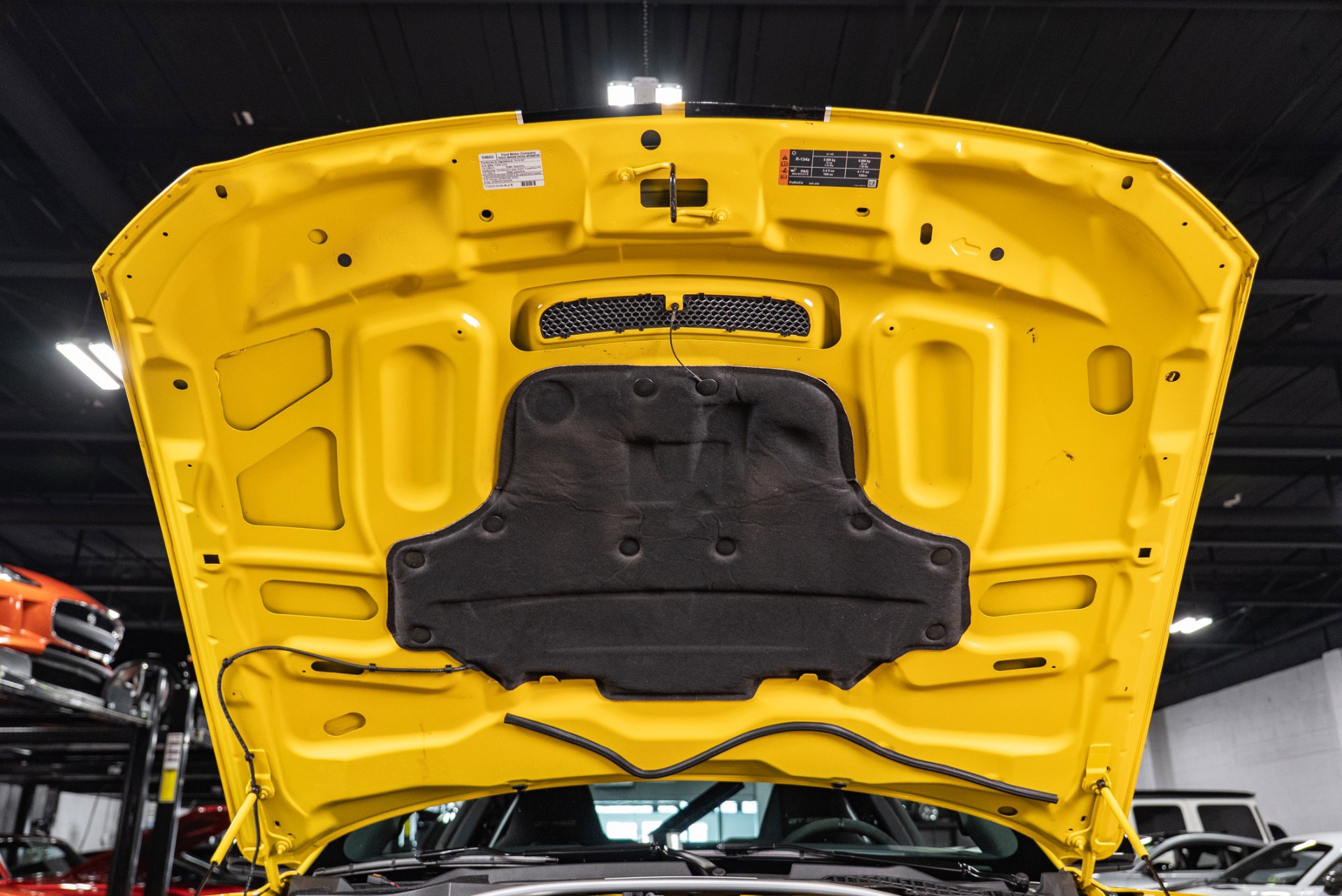 Used 2016 Ford Mustang Shelby GT350 w/ Track Package image 43