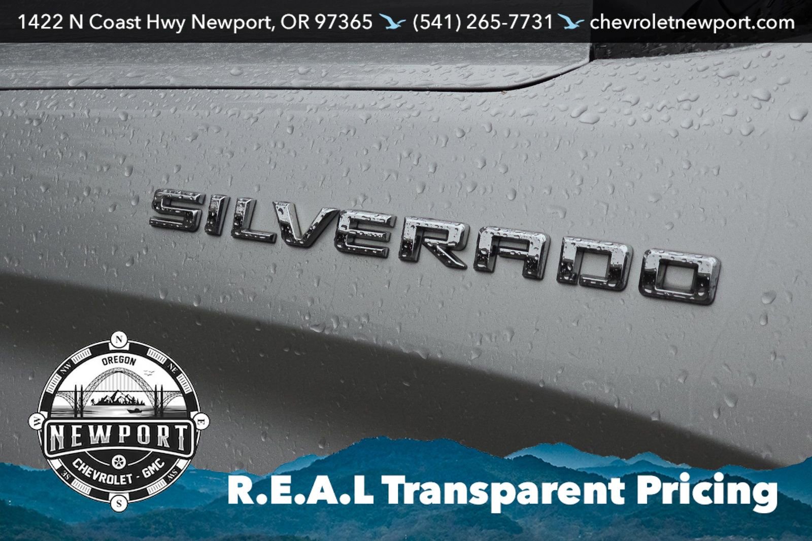 Used 2019 Chevrolet Silverado 1500 LT w/ All-Star Edition image 25