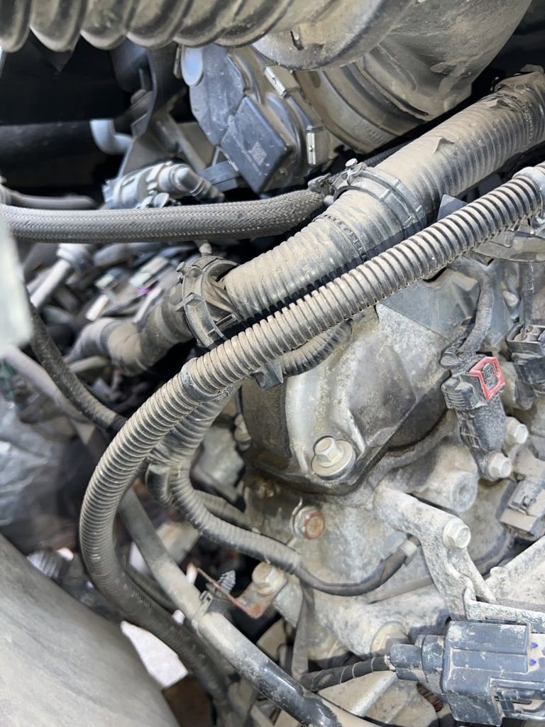 Used 2015 Chevrolet Colorado Z71 image 45