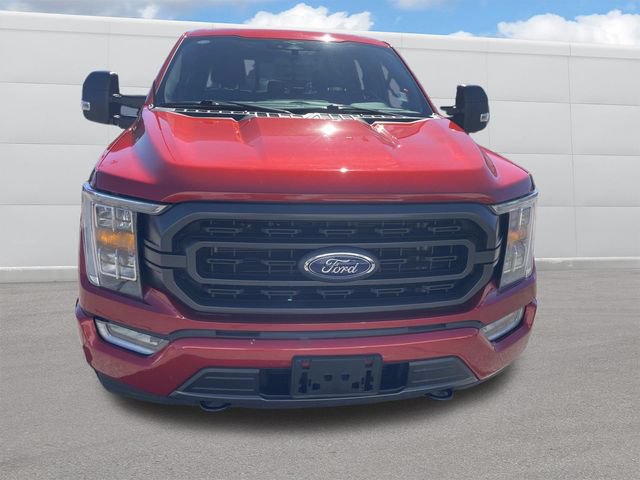 Used 2023 Ford F150 XLT w/ Equipment Group 302A High AWD/4WD image 9