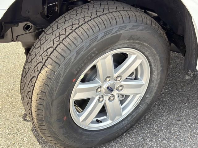 New 2026 Ford F150 XL w/ Equipment Group 103A High image 13