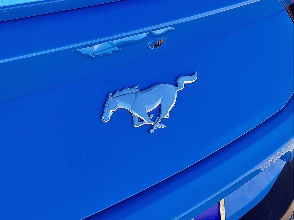 Used 2024 Ford Mustang Premium image 13