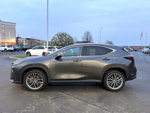 Used 2022 Lexus NX 350 AWD image 6