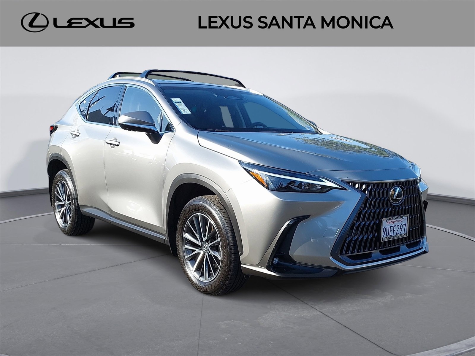 Used 2025 Lexus NX 350h AWD w/ Premium Package image 3