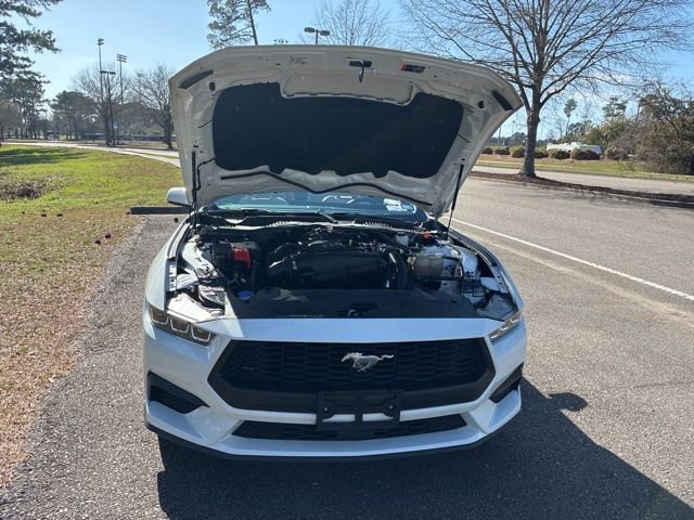 Used 2024 Ford Mustang Premium image 20