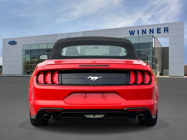 Used 2018 Ford Mustang Premium w/ Equipment Group 201A image 6
