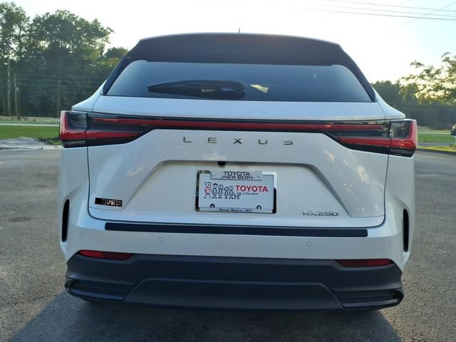 Used 2024 Lexus NX 250 FWD image 2