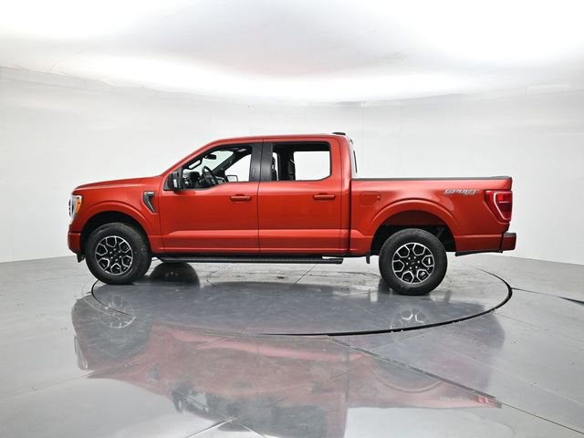Used 2023 Ford F150 XLT w/ Equipment Group 302A High AWD/4WD image 7