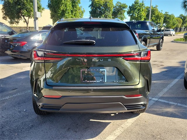 Used 2024 Lexus NX 250 250 Premium image 5