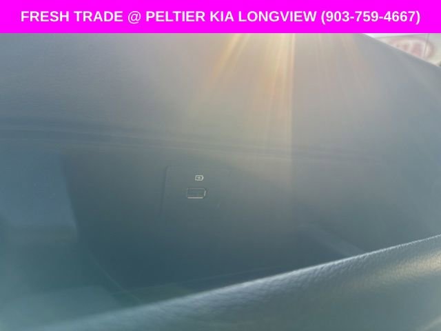 Used 2019 Ford Expedition Platinum image 14