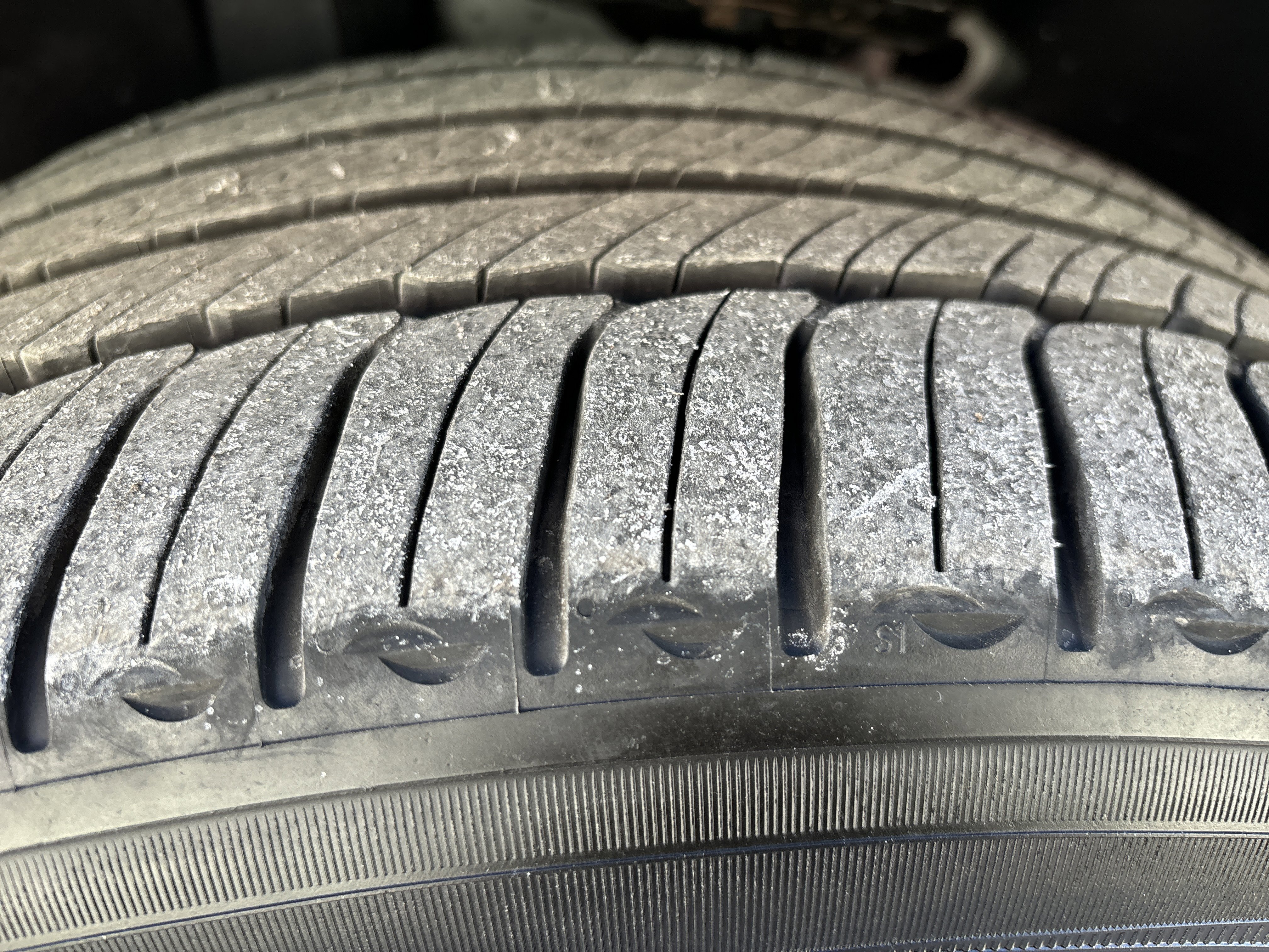 Used 2021 Volkswagen Tiguan SEL Premium R-Line image 12