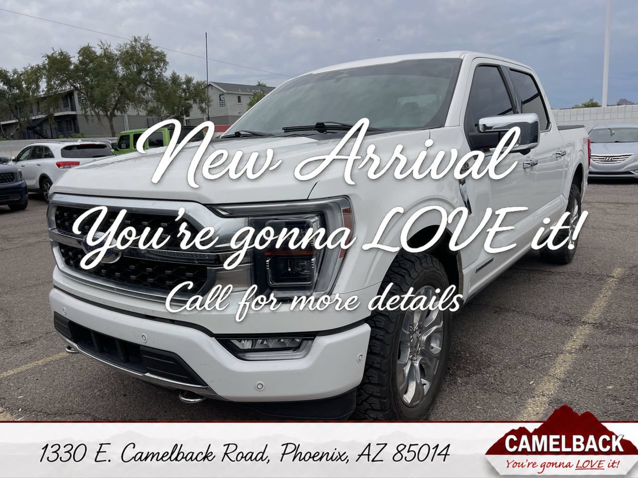 Used 2023 Ford F150 Platinum w/ Equipment Group 701A High