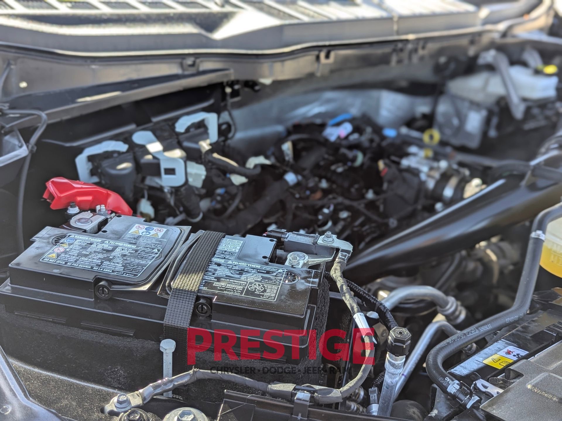 Used 2025 Ford F150 XLT w/ Equipment Group 301A Standard image 30