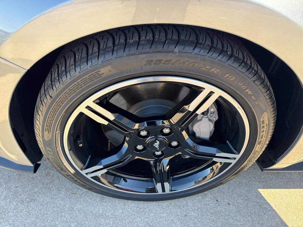 Used 2020 Ford Mustang GT Premium w/ Equipment Group 401A image 20