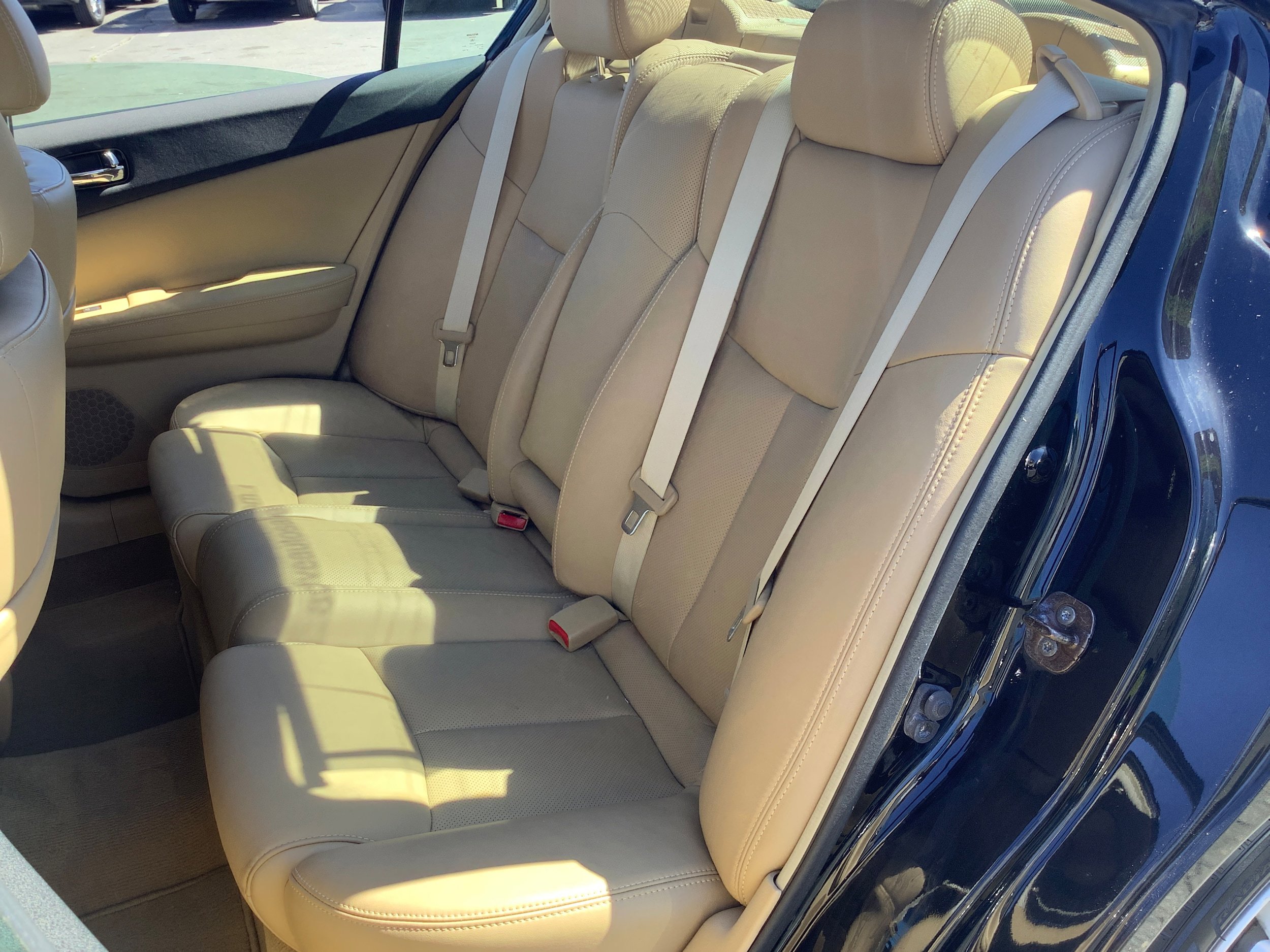Used 2010 Nissan Maxima 3.5 SV w/ Premium Pkg FWD image 12