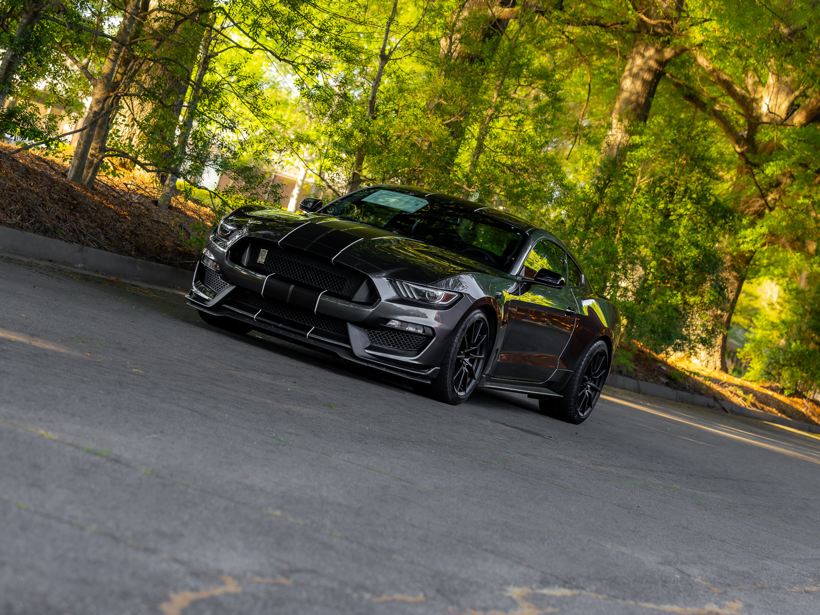 Used 2016 Ford Mustang Shelby GT350 w/ Technology Package RWD image 40