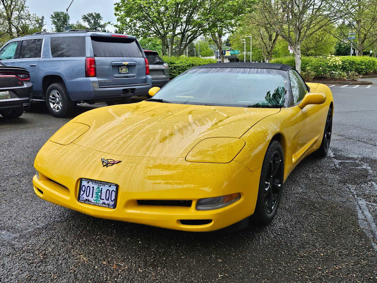Used 2001 Chevrolet Corvette Convertible w/ Preferred Equipment Group2 RWD image 7
