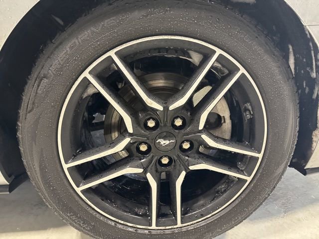 Used 2023 Ford Mustang Premium image 8