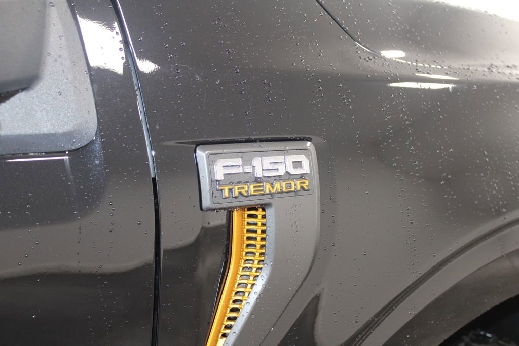 New 2025 Ford F150 Tremor image 11