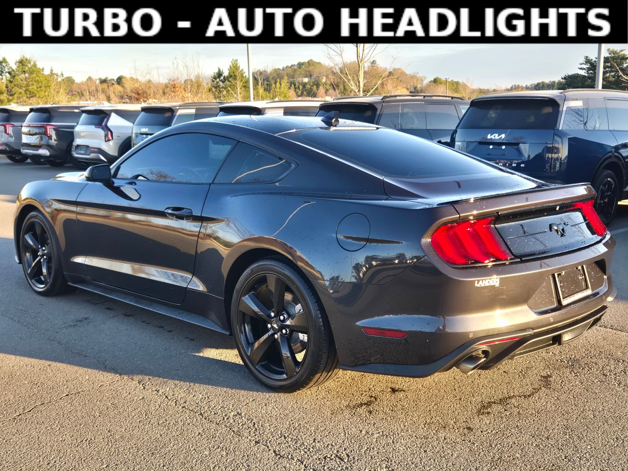 Used 2023 Ford Mustang EcoBoost w/ Equipment Group 101A image 5