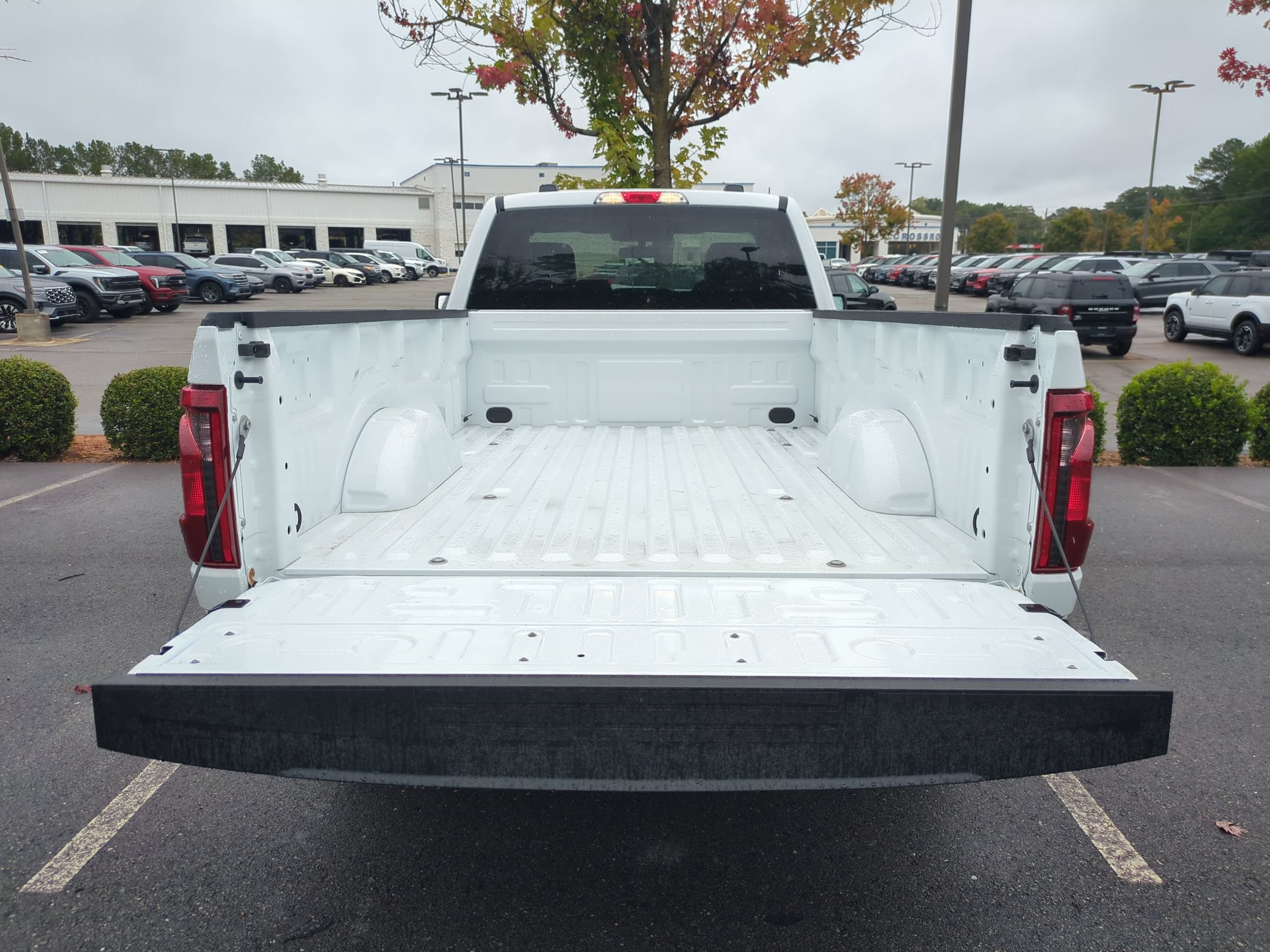 New 2026 Ford F150 XL w/ Equipment Group 103A High RWD image 26