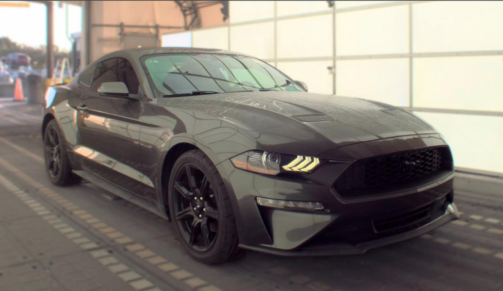 Used 2019 Ford Mustang Coupe w/ Equipment Group 101A RWD image 4