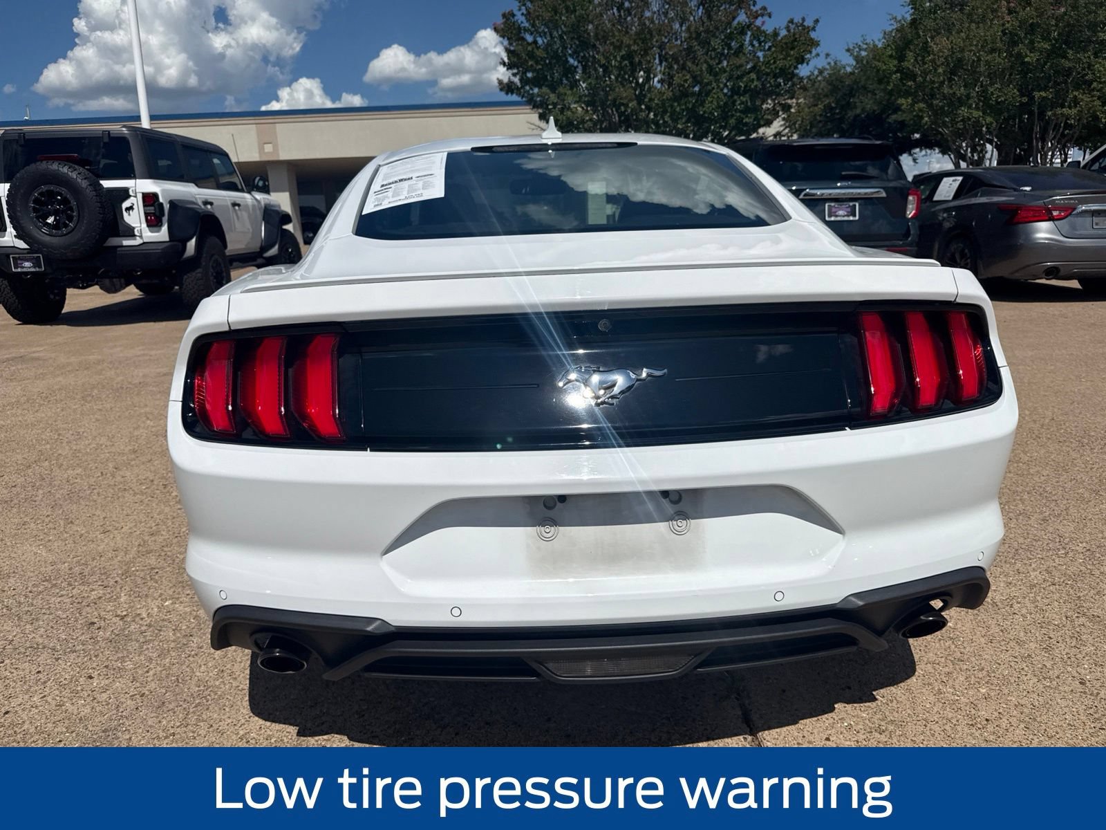 Used 2020 Ford Mustang Premium w/ Wheel & Stripe Package RWD image 7