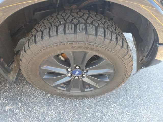 Used 2019 Ford F150 XLT w/ Equipment Group 302A Luxury AWD/4WD image 38