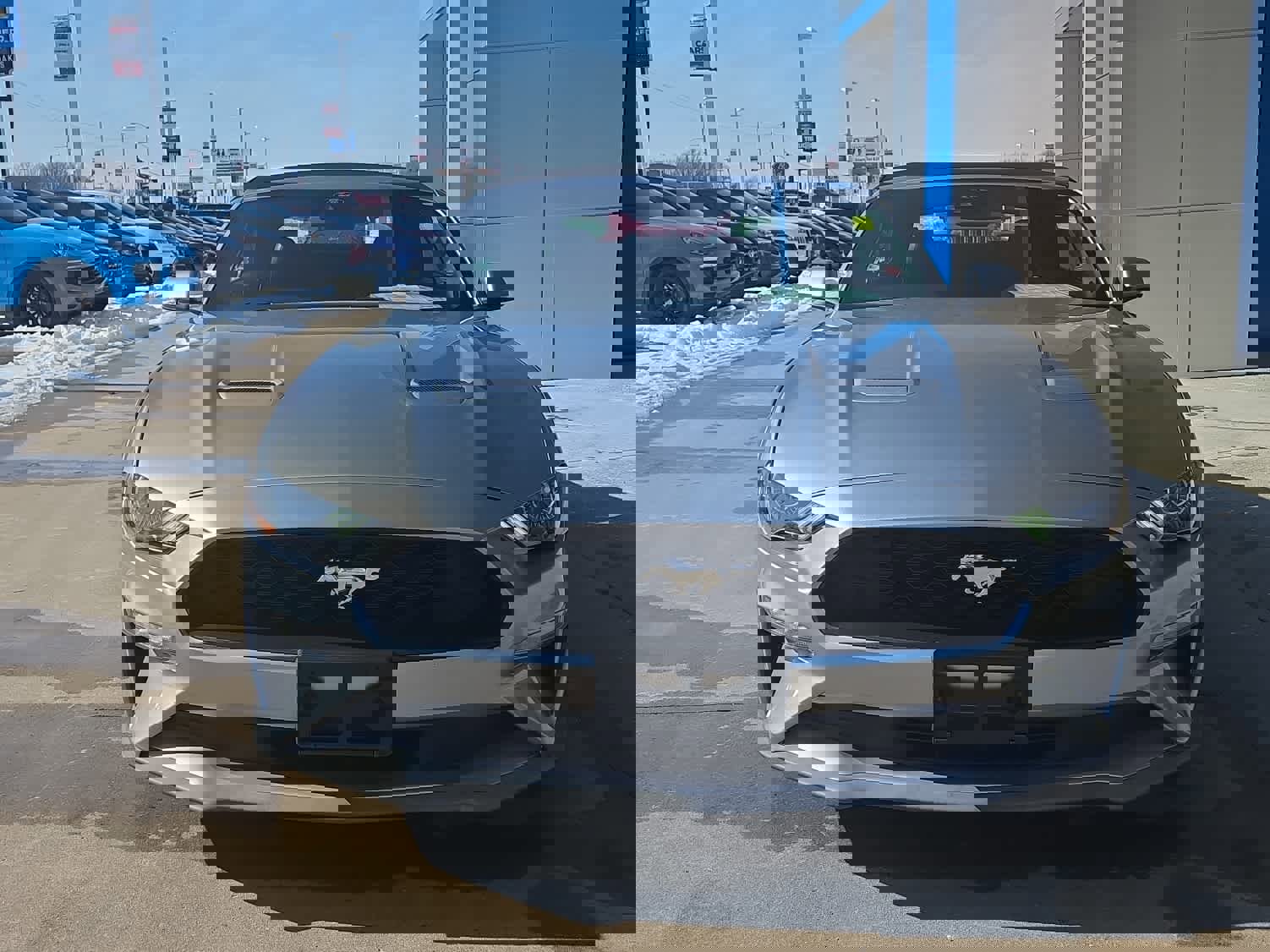 Used 2022 Ford Mustang Premium image 9