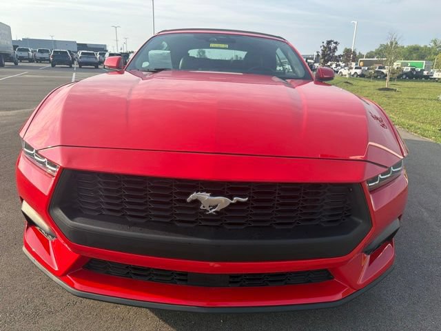 Used 2024 Ford Mustang Premium RWD image 5