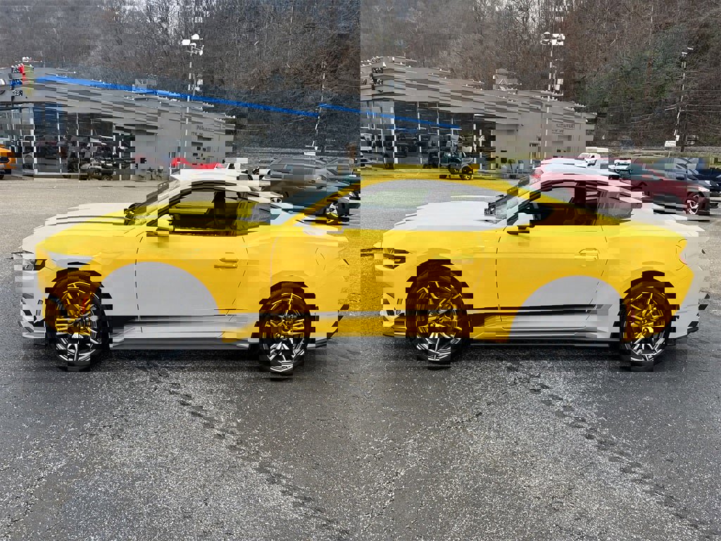 Used 2024 Ford Mustang EcoBoost image 8