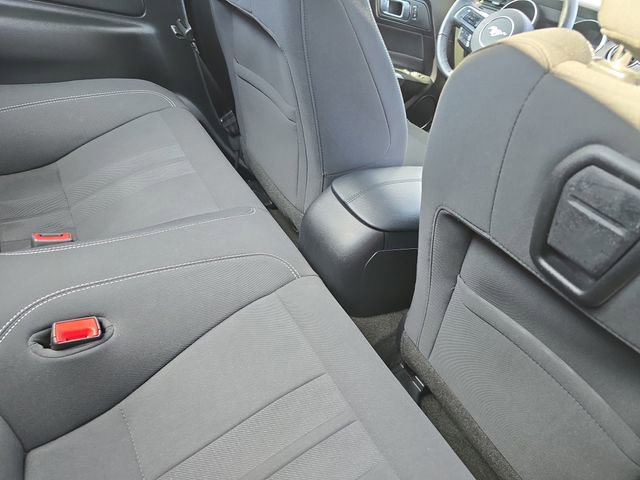 Used 2019 Ford Mustang EcoBoost image 11