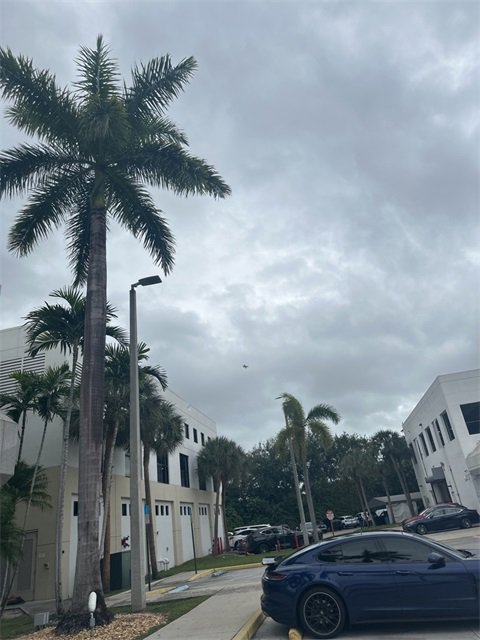 Used 2020 Lexus NX 300 AWD w/ Premium Package image 7