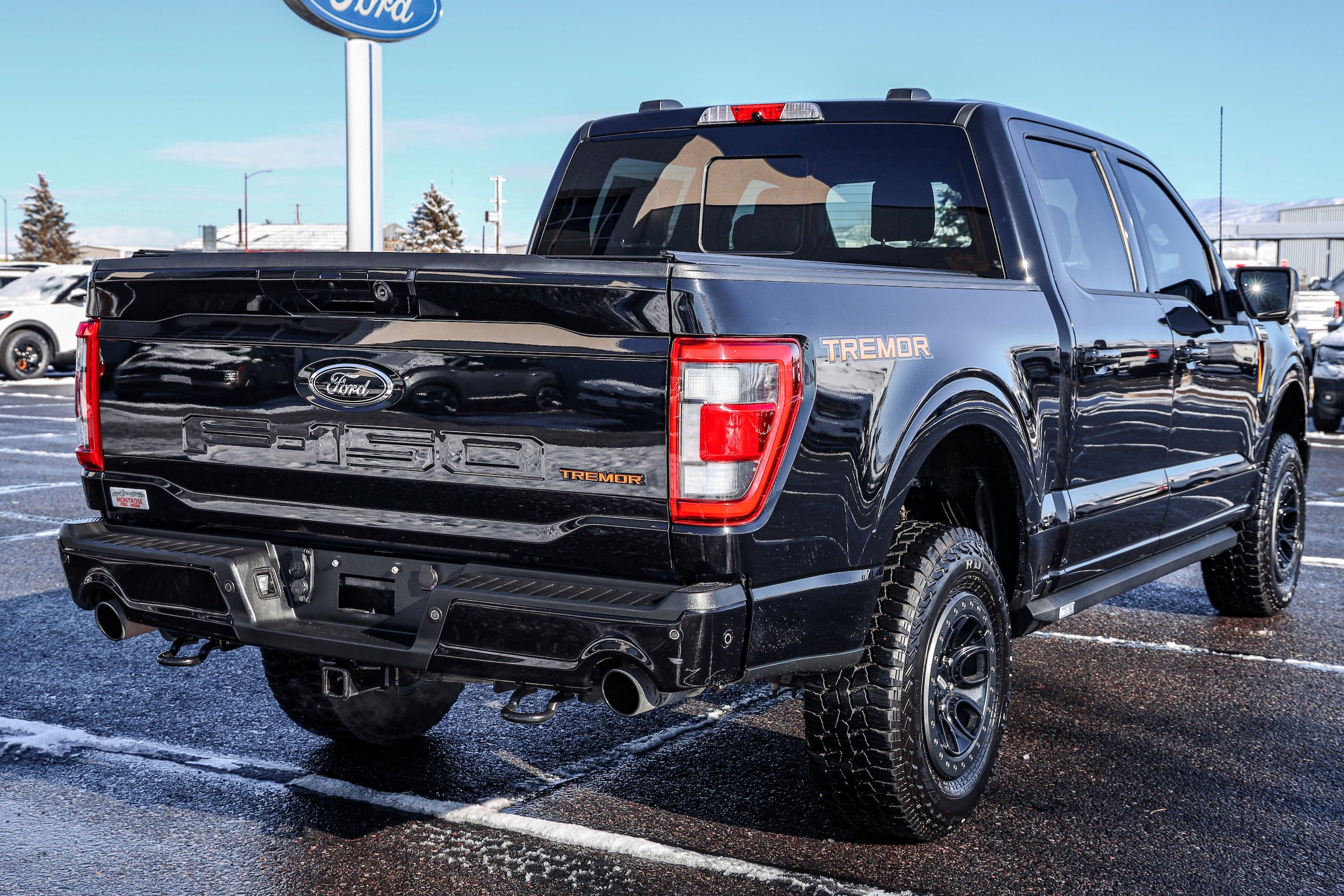 Used 2022 Ford F150 Tremor w/ Equipment Group 402A High AWD/4WD image 4