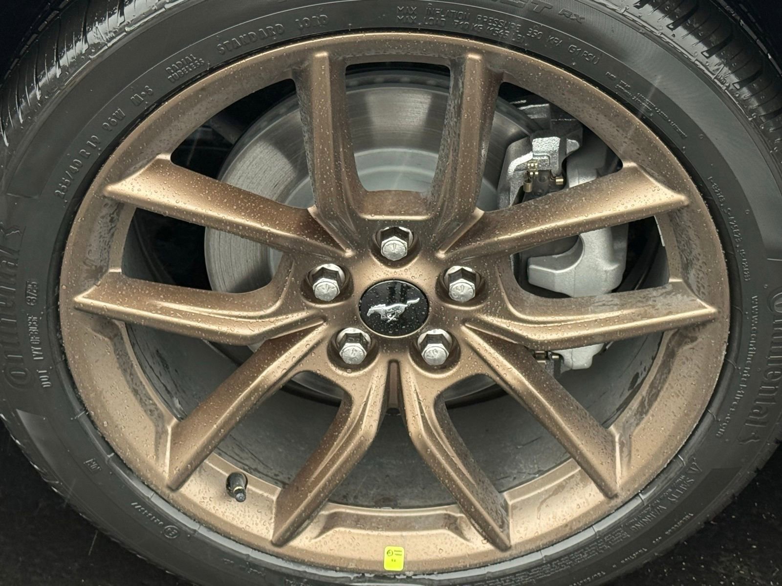 New 2026 Ford Mustang Premium RWD image 11