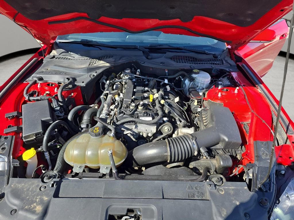 Used 2018 Ford Mustang Coupe image 31