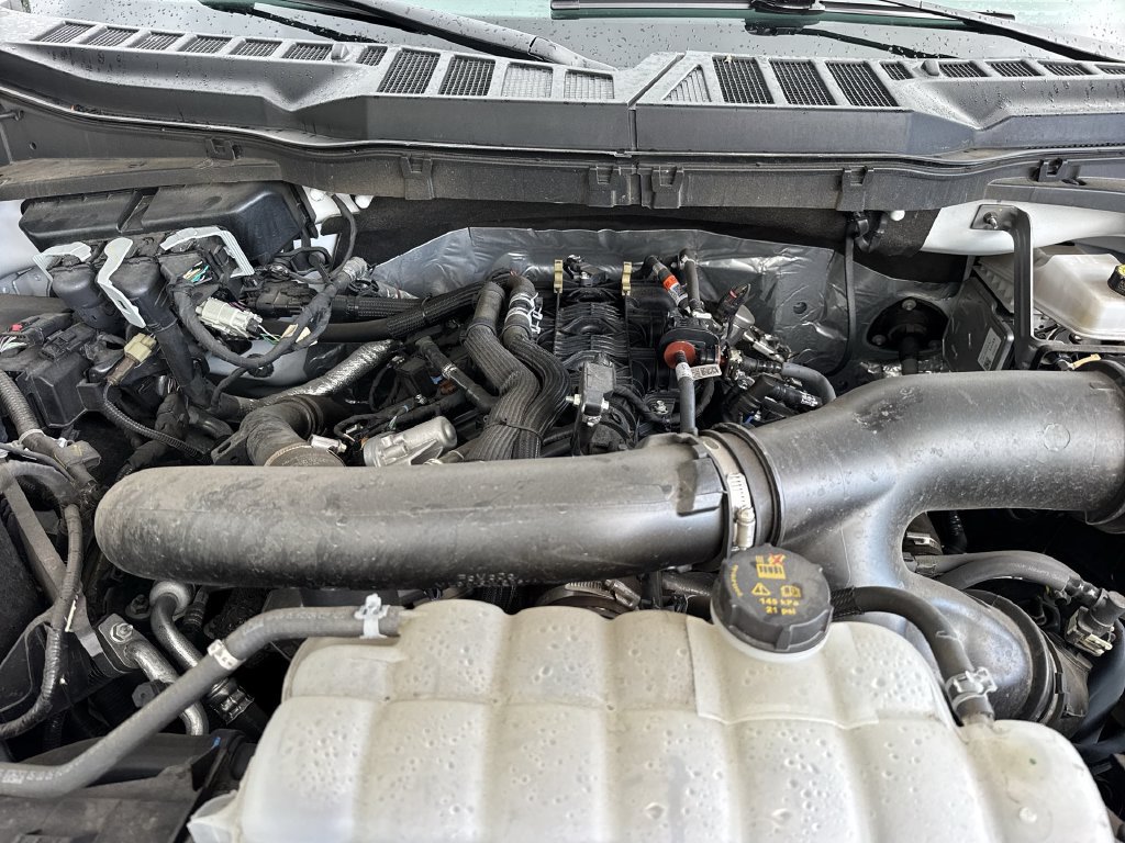 Used 2025 Ford F150 XLT w/ Equipment Group 301A Standard RWD image 60