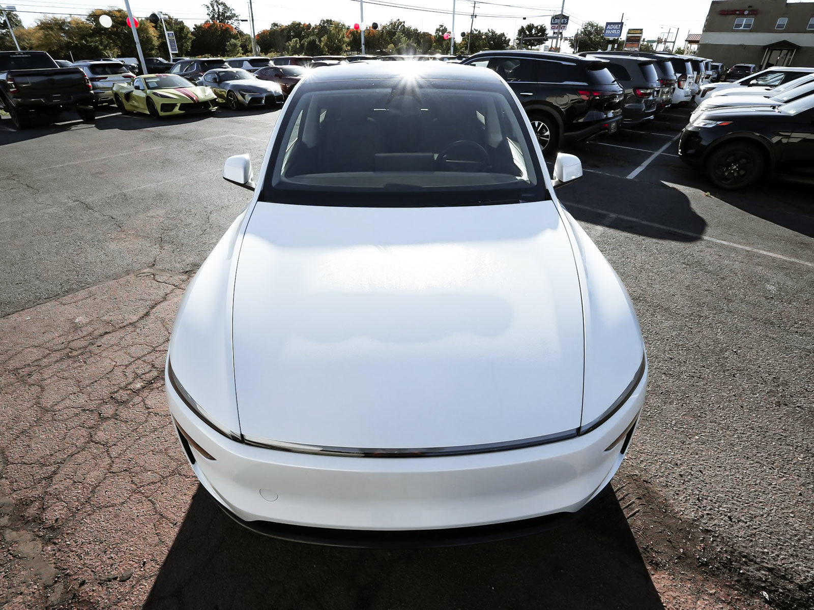 Used 2026 Tesla Model Y Long Range AWD/4WD image 51