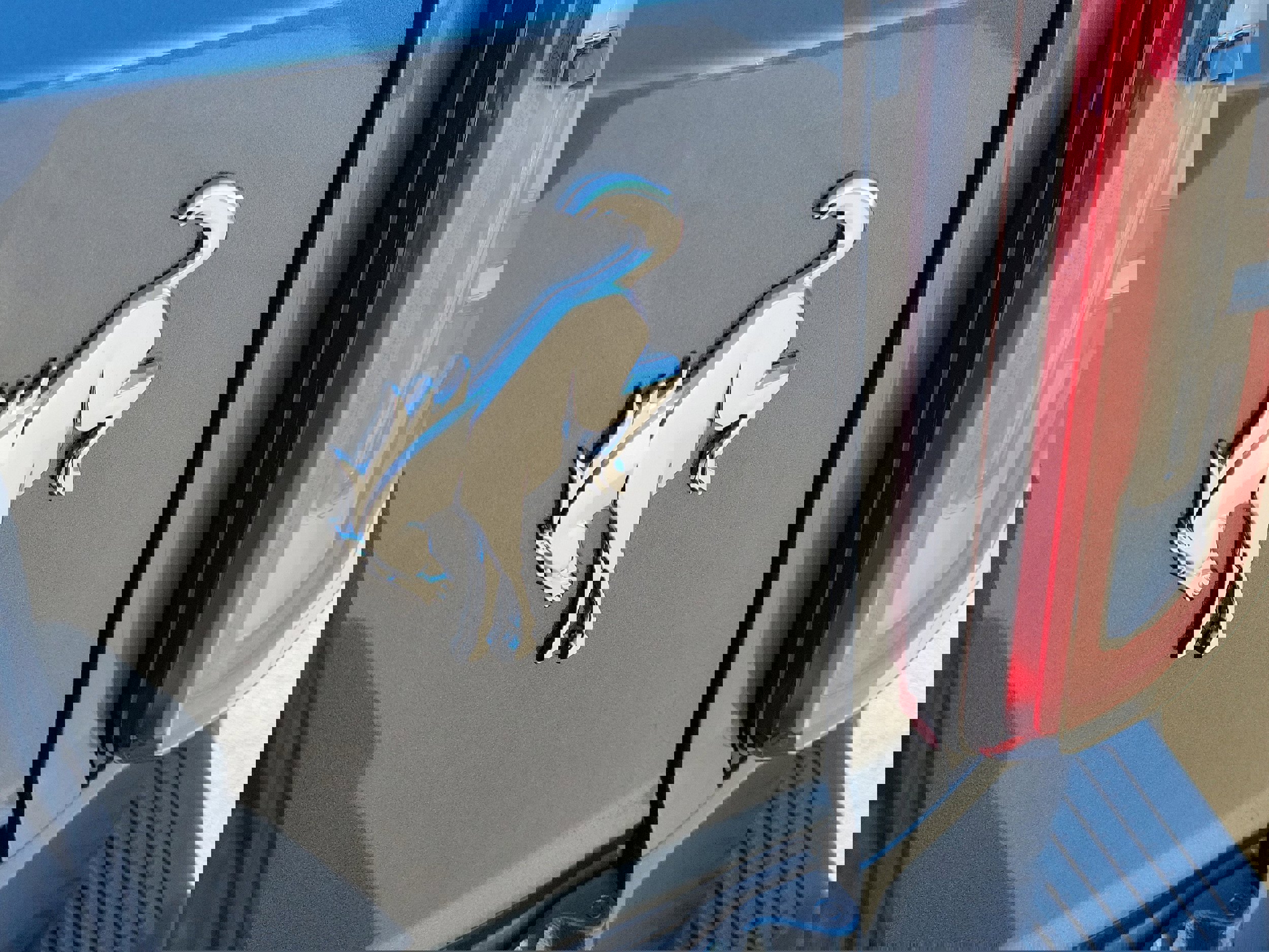 New 2025 Ford Bronco Badlands image 7