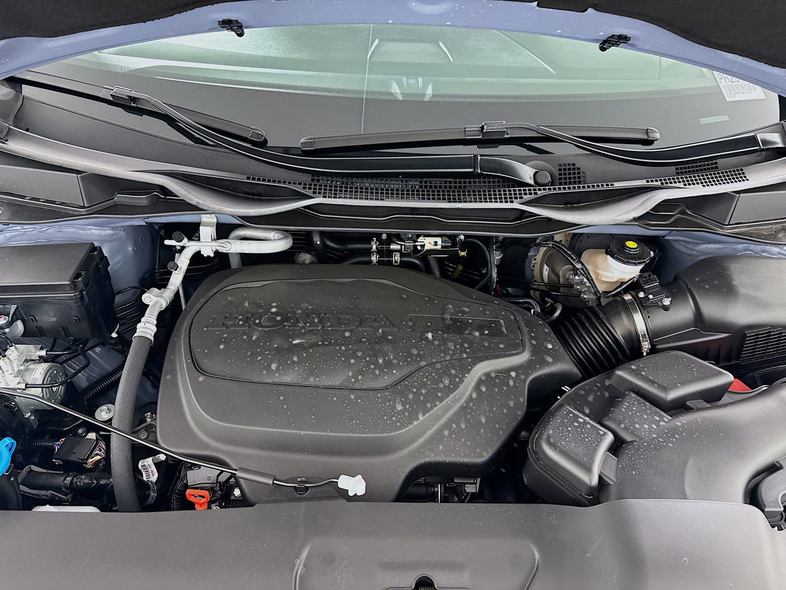 Used 2026 Honda Odyssey Sport-L image 10