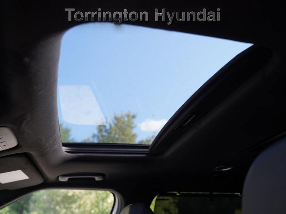 New 2026 Hyundai Palisade Calligraphy image 18