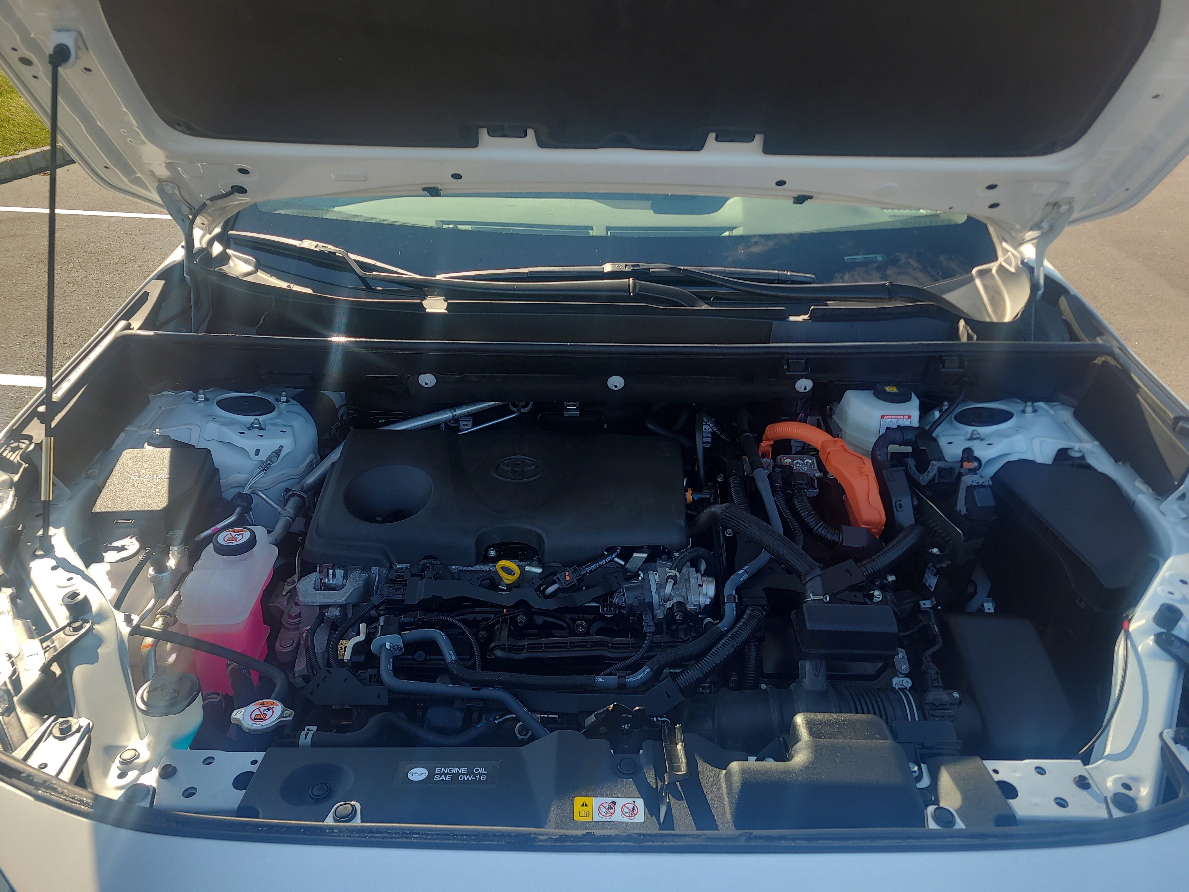 Certified 2025 Toyota RAV4 XLE image 31