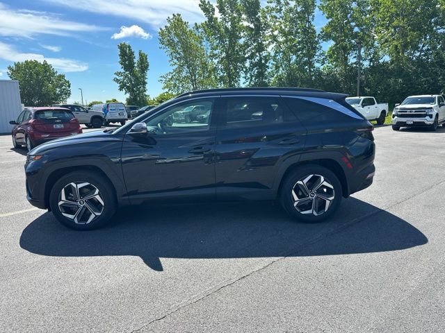 Used 2023 Hyundai Tucson Limited AWD/4WD image 6