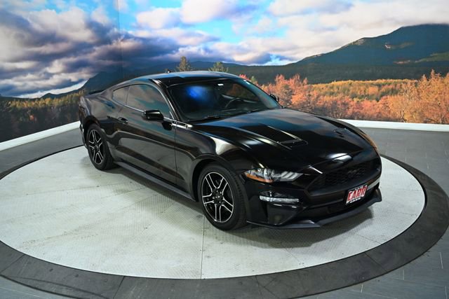 Used 2020 Ford Mustang Coupe w/ Equipment Group 101A image 1