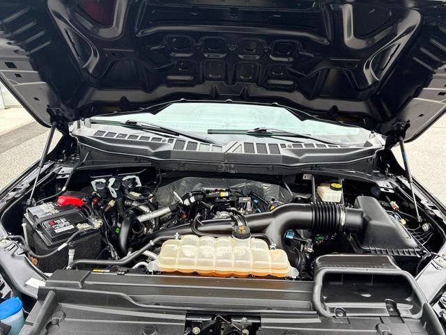 Certified 2023 Ford F150 XL w/ STX Appearance Package AWD/4WD image 17