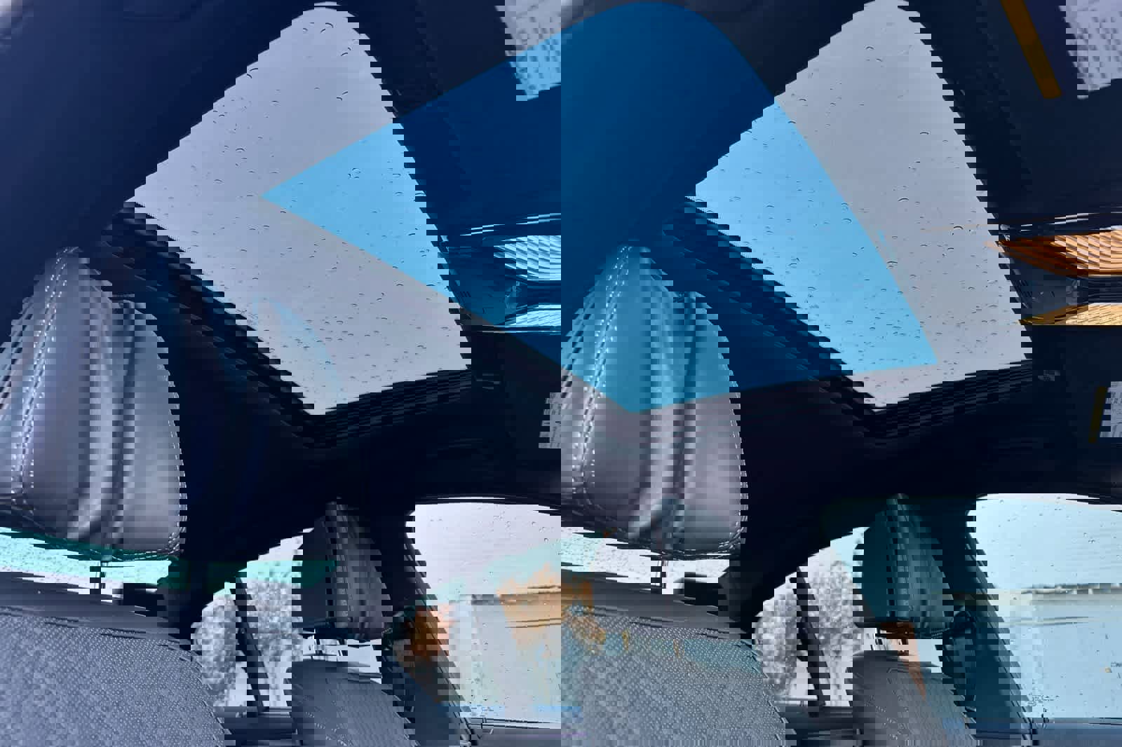 Used 2021 BMW 540i w/ Executive Package image 17