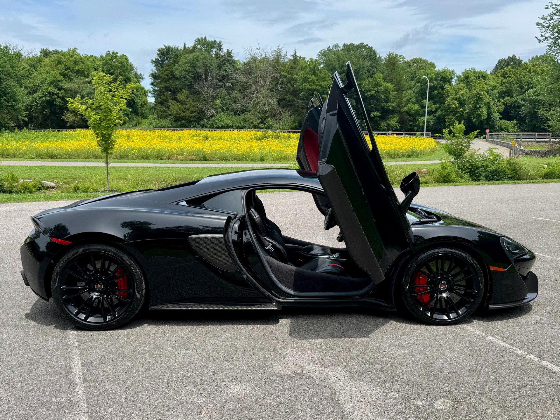 Used 2017 McLaren 570S Coupe RWD image 10