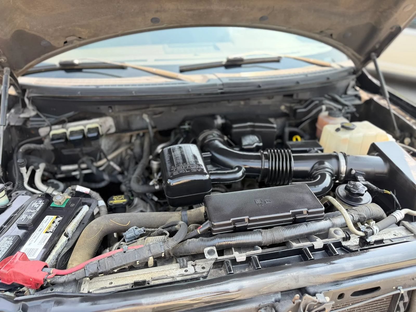 Used 2010 Ford F150 XLT AWD/4WD image 13